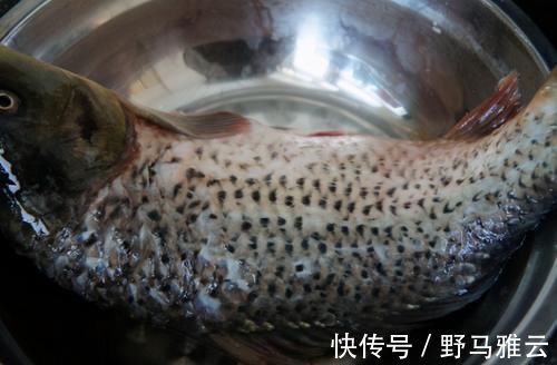 不论炖啥鱼,别只会加料酒去腥,加这“一黑一白”,鱼鲜无腥味!