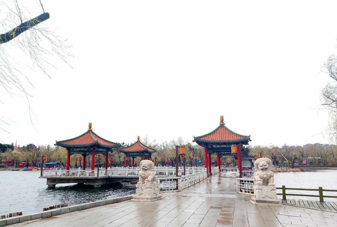 春日游湖，斜风细雨不须归