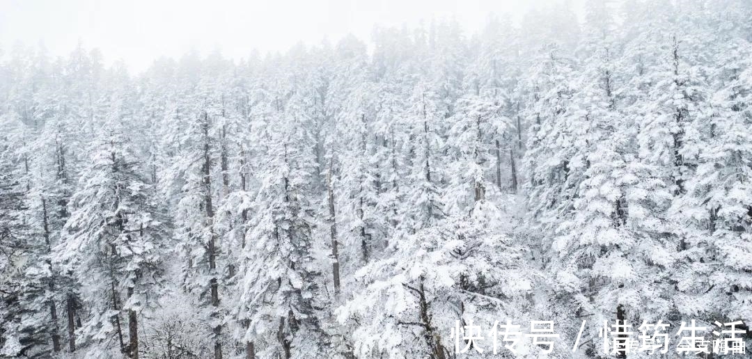 梦幻|低调的美景、最美的天堂，你去这些省市去对了吗？