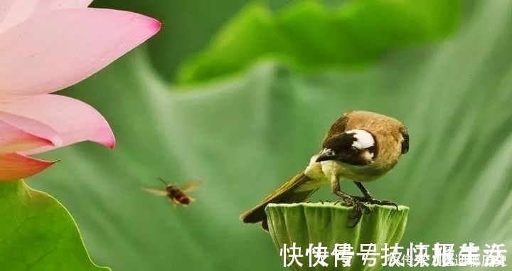 教条示龙场诸生@王阳明的十句处世真言，学会一个，就能成就辉煌的人生