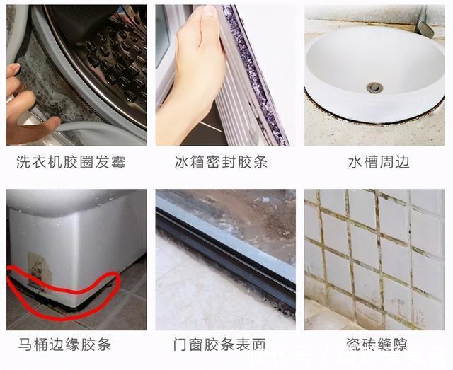 mistolin|房子入住一段时间后，建议添置这5样“小用品”，幸福感倍增