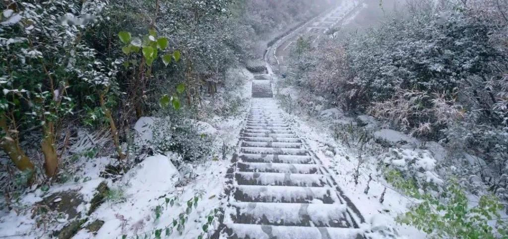 后一|美醉！长沙初雪后一波高颜值照片来袭