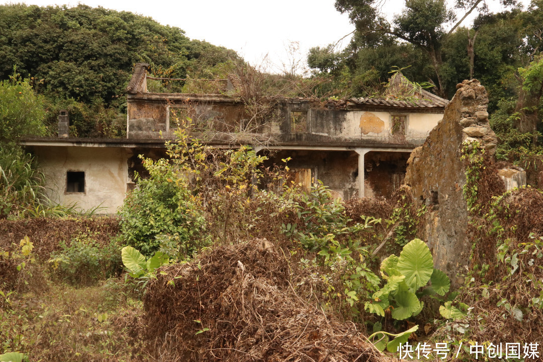 金龟慢:往事经年,历史有声。|这儿有个金龟小镇 | 往事