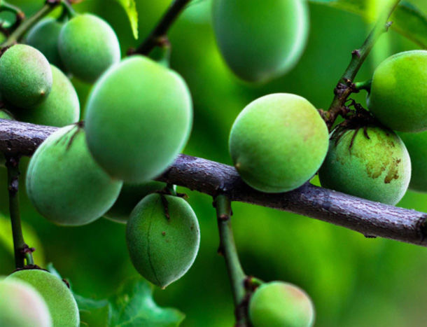 女性要“美容瘦身”?多吃4物，滋陰排毒養(yǎng)顏，膚白貌美“賽天仙”