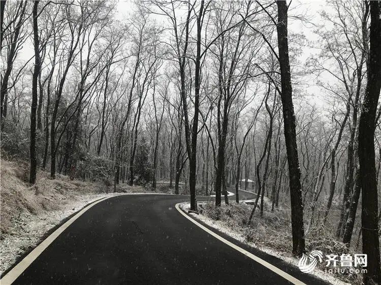  最低温|下雪了！下雪了！山东多地喜提今冬第一场雪！明天最低温降至-4℃！