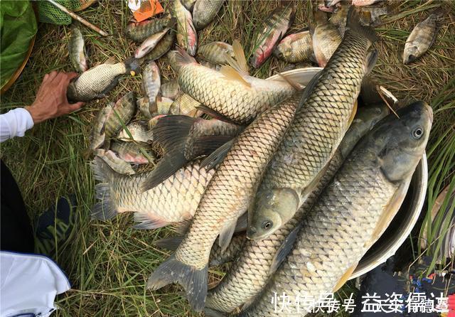 黑坑|黑坑老板有这几种行为以后别再去，妥妥的坑你没商量