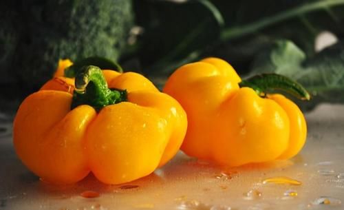 張醫師|夏天來了，推薦多吃3種食物，排毒清腸，美容養顏，增強體質