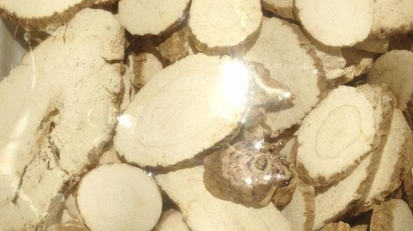 补气|35岁的她，天天食用黄芪泡水喝，半年后，身体收获了四大喜人好处