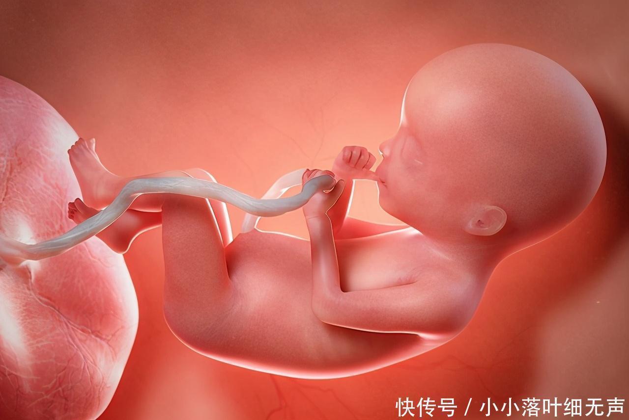 孕妈|孕期有这3个行为,容易导致胎儿脐带绕颈,孕妈别只顾着自己舒服