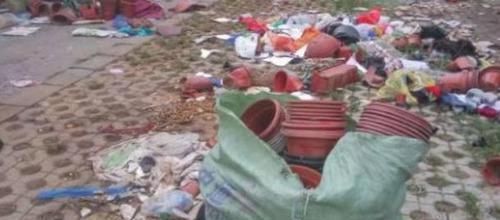 养花还在买花盆学会一招,再不用多花一分钱,一捡一大堆