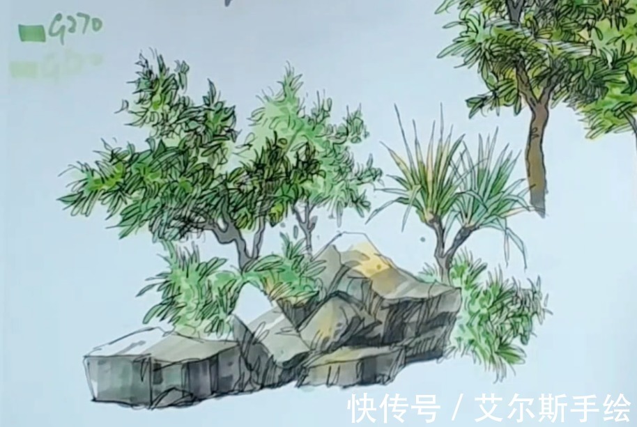 颜色|「艾尔斯马克绘」用马克笔如何画出栩栩如生的植物呢？