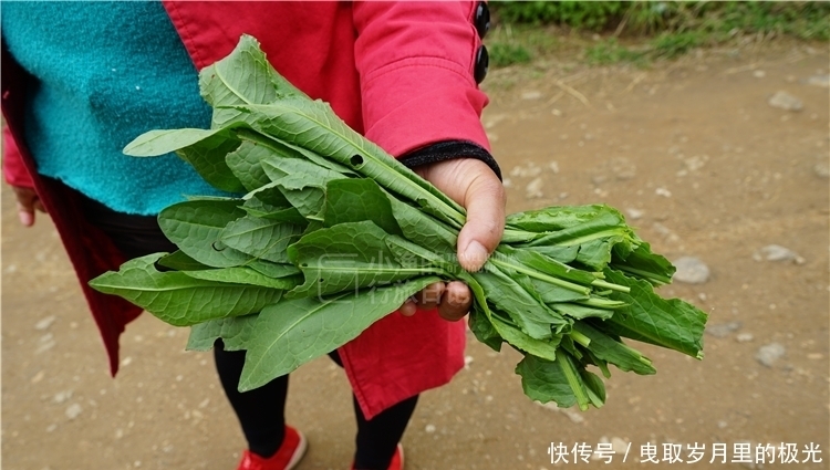 五一去哪玩？西安秦岭游推荐，适合全家休闲游！公交直达没门票