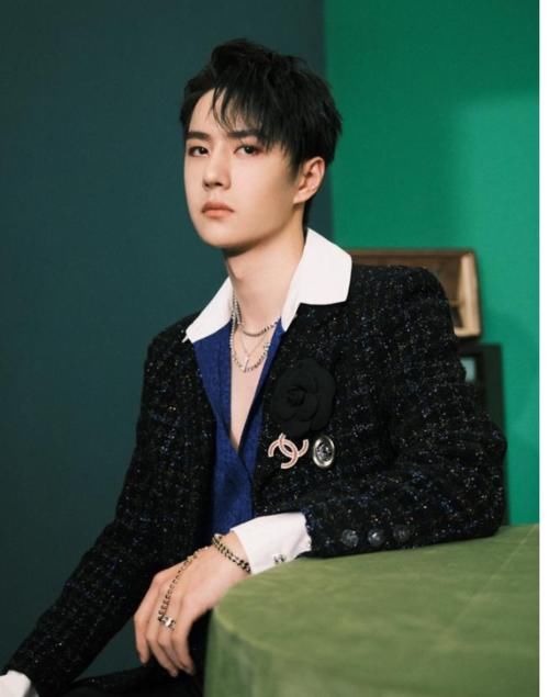 王一博|王一博高奢大咖秀，小香风点燃一片绿海，杀疯了