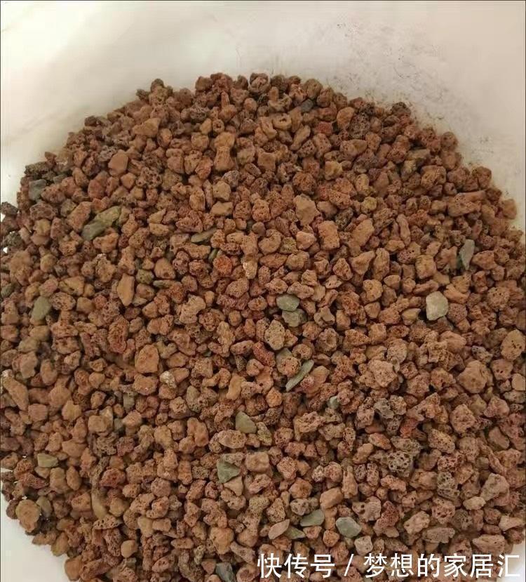 多肉|养多肉的“通用配土”,不要乱花钱了,买这2样土,养多肉足够