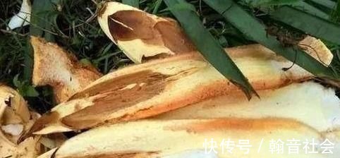 延缓衰老|女性不想显老，多吃3种食物，延缓衰老，滋润皮肤，排毒清肠