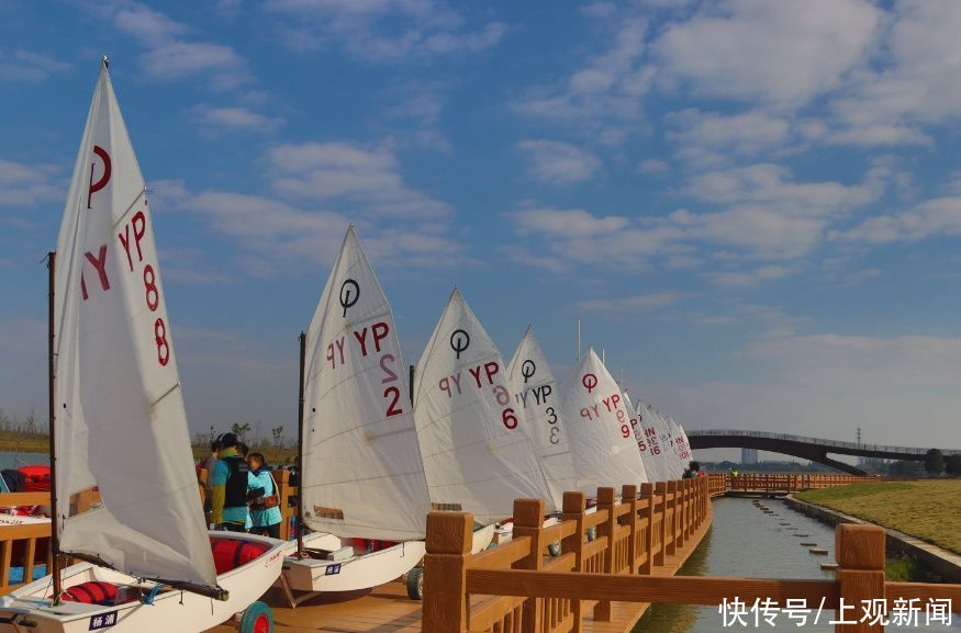 老年|静谧花海，活力运动……崇明这个新晋3A景区都能满足你