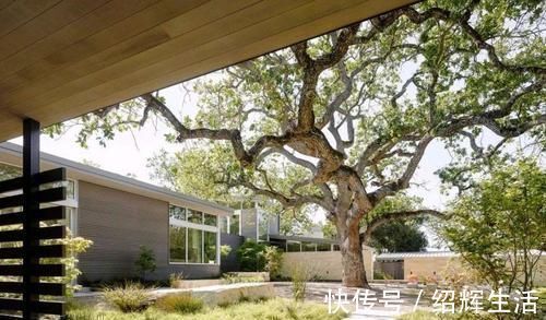 泳池|山中造个别墅,院中百年古树,庭院、壁炉、泳池,奢侈生活美如画