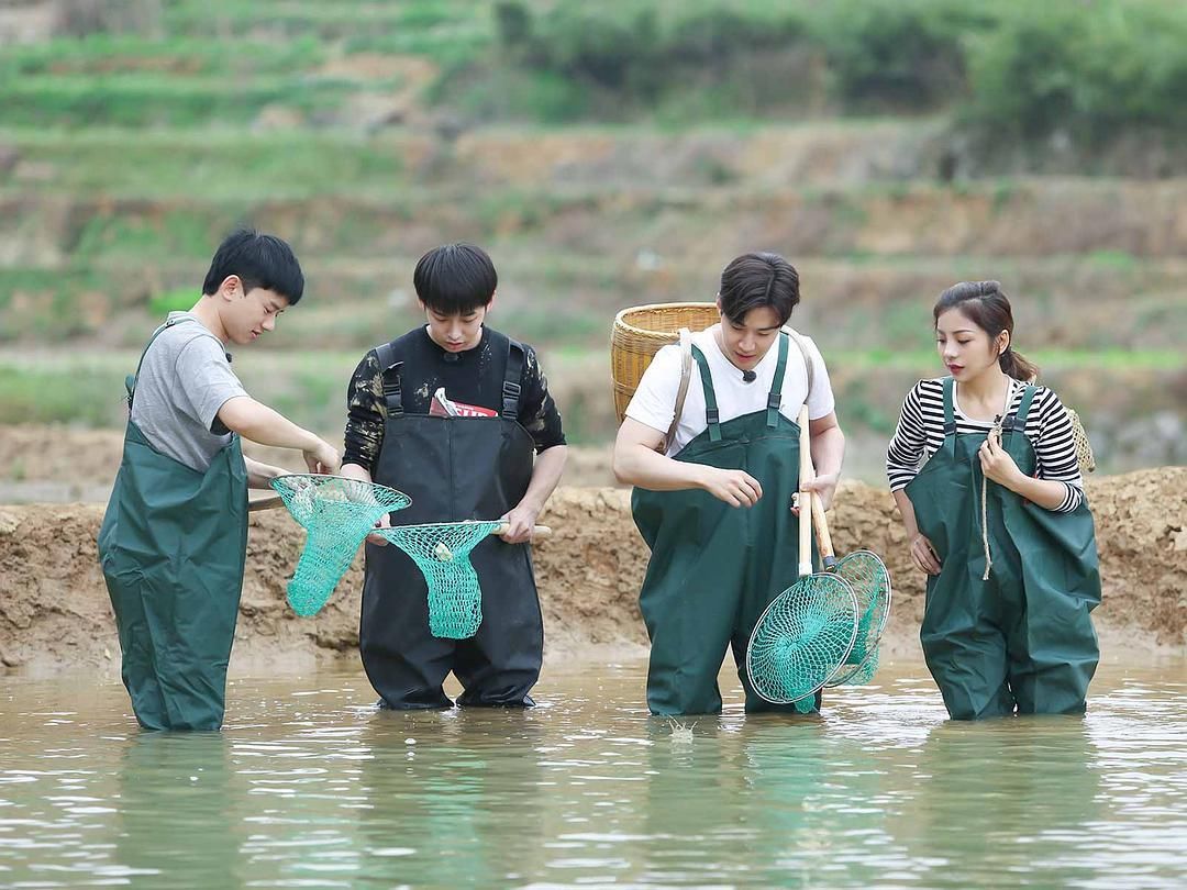 《向往的生活》路透，蘑菇屋选址在岛上？黄磊、何炅心愿或实现