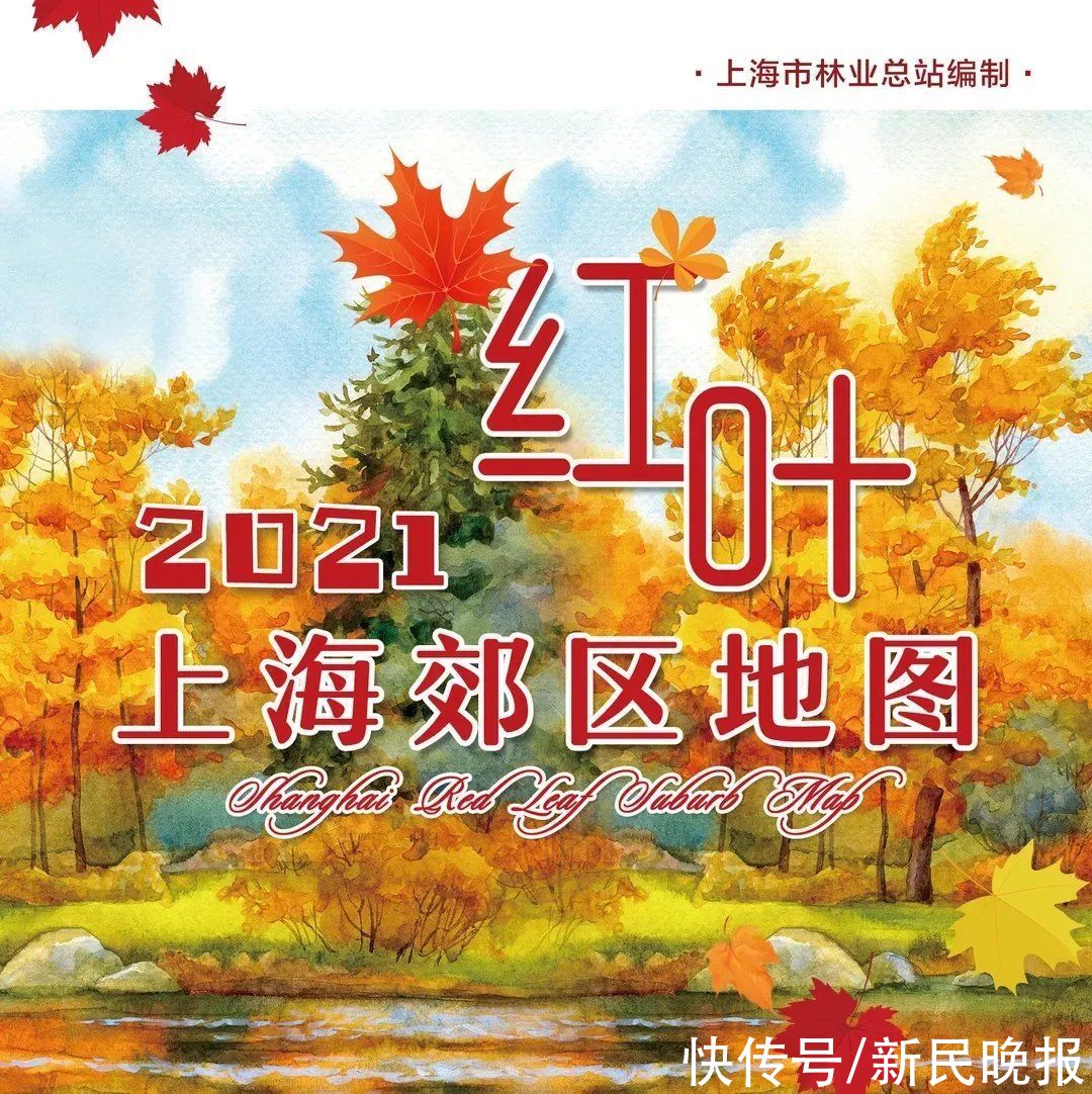 红叶|收藏9张“郊区红叶地图”！上海秋天真好看