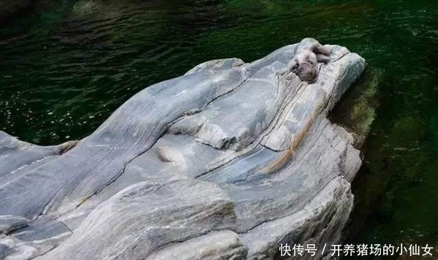 少女|18张图都隐藏着少女,找出6个正常,9个聪明,14个以上天才