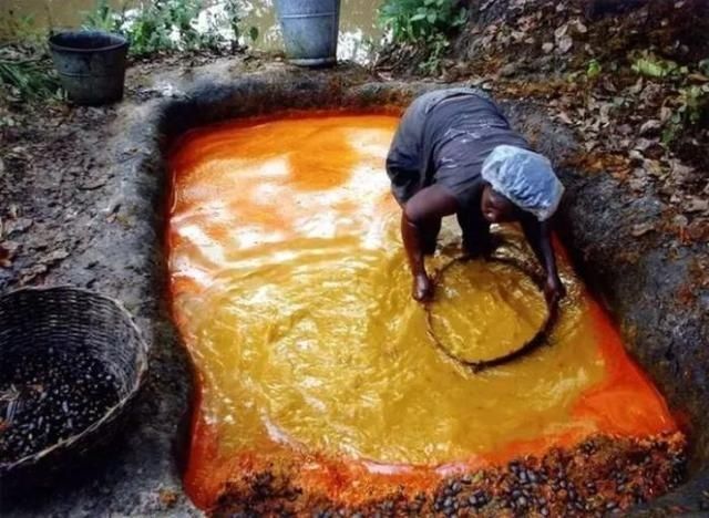 女人|为啥非洲部落女人做的饭,连他们自己都不敢吃看完我都反胃了