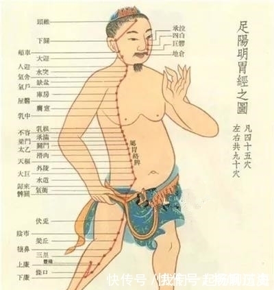 脾胃|胃经不通，脾胃差，用一根棍子在大腿上推，每天10分钟，胃经畅通