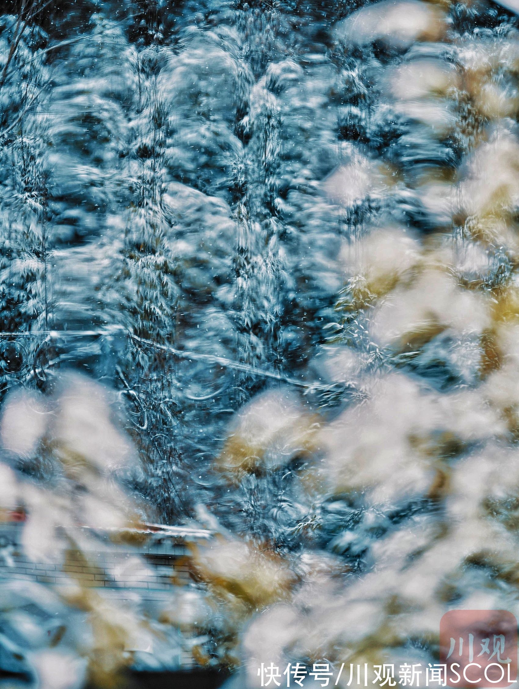 雪景|视频｜漫天雪花飞舞，这是2021年年末的雪景