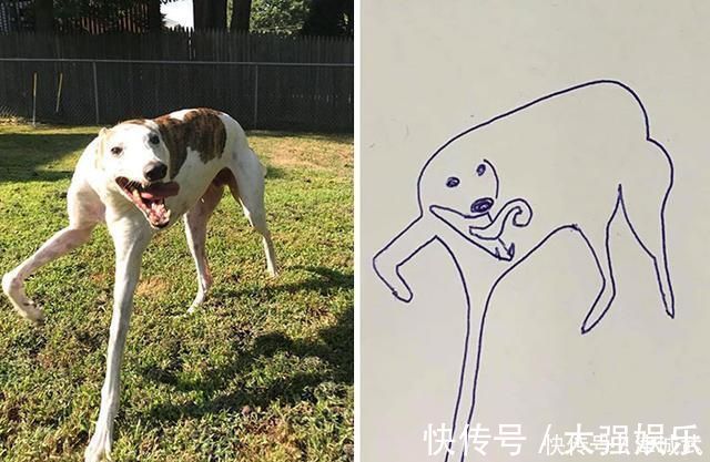 杰伊#他因画画水平“太烂”,反而成为网红,把巨石强森画成一块石头