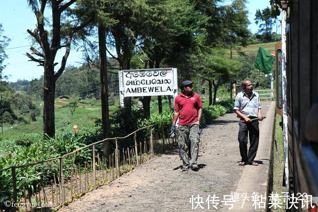 铁路|斯里兰卡高山茶园火车 速度比汽车还慢 挂火车成为一种时尚