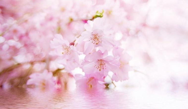  雨滴|一场春雨一场暖，春雨怎么拍才有味这些作品给你灵感