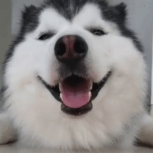 |搞笑GIF:姑娘你这眼神能杀人呀!真是吓死宝宝了