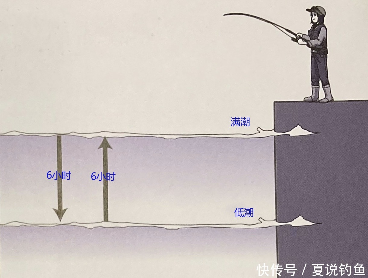 路亚涨潮还是退潮钓鱼