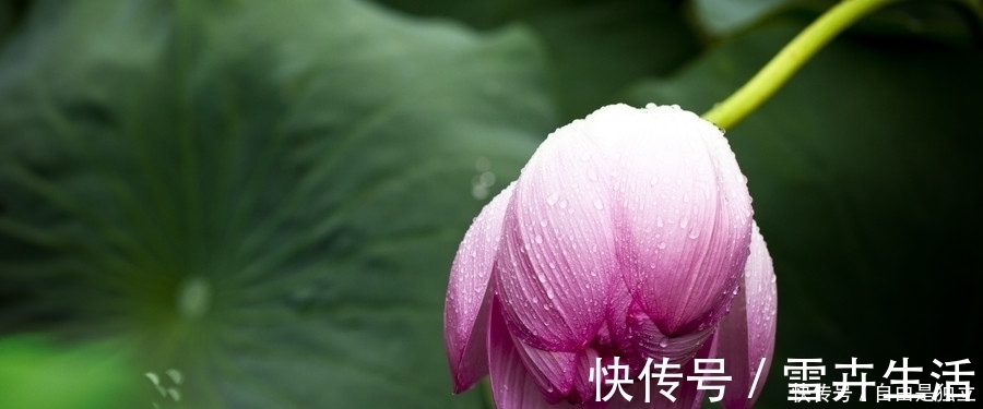 逆向思维|易经:一个人能沉得住气,潜龙勿用,终有崛起之日