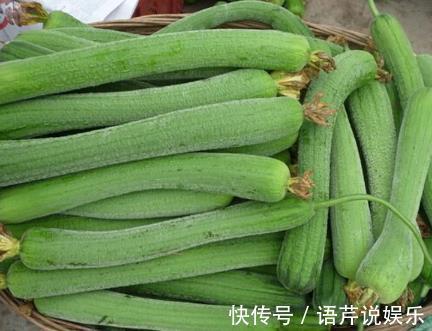 中老年人|丝瓜和它是天生的“敌人”,不能一起食用,记得告诉家里人