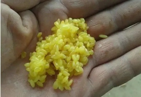 实用|不管温度有多低,只要学会这几个实用技巧,照样钓得盆满钵满