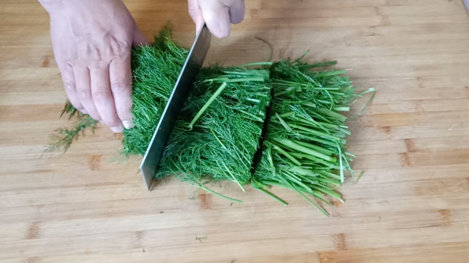 茴香|胃不好别怕,牢记1道菜,健胃养胃壮胃,肠胃越来越健康