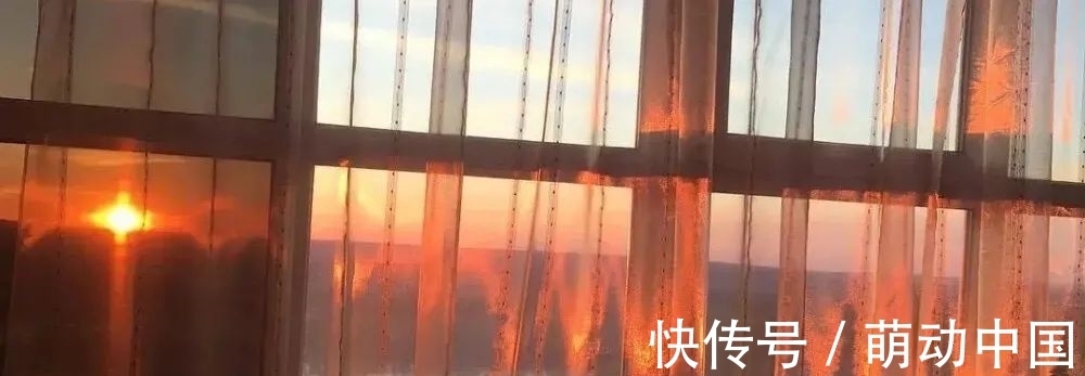 金闪闪|能拿我的一切换一个哆啦A梦吗？