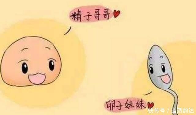 体液|进入女性体内后,未能和卵子成功结合的精子去哪了看完不准笑