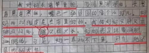 老师|“最懒作业”走红，爸妈看后追着打！老师却给了个满分？