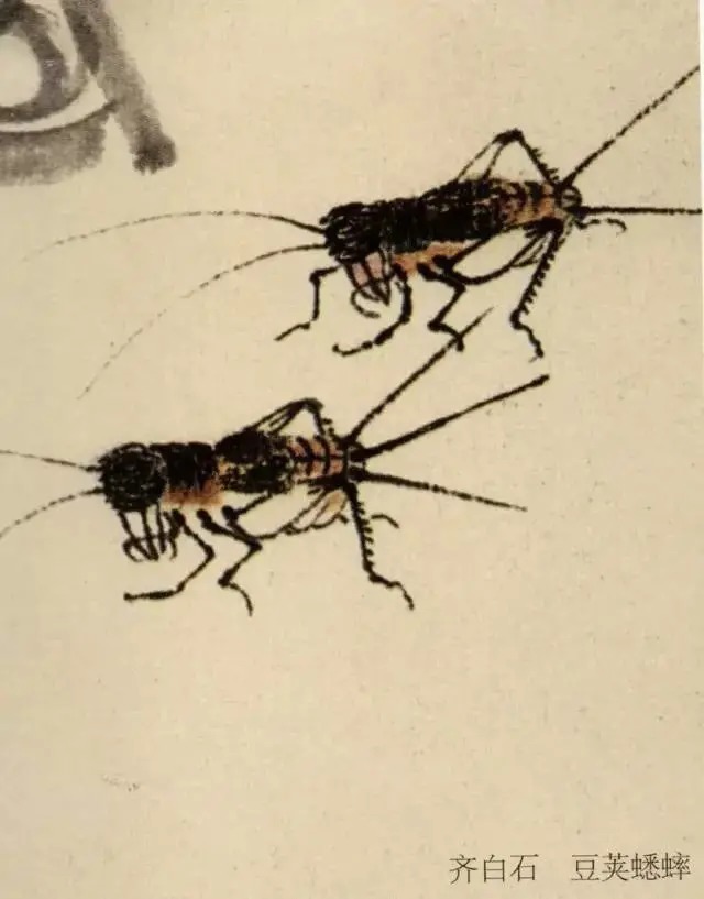 蝈蝈$国画技法图典——草虫篇:蝗虫 蚂蚱 蝈蝈 螽斯 螳螂 蟋蟀