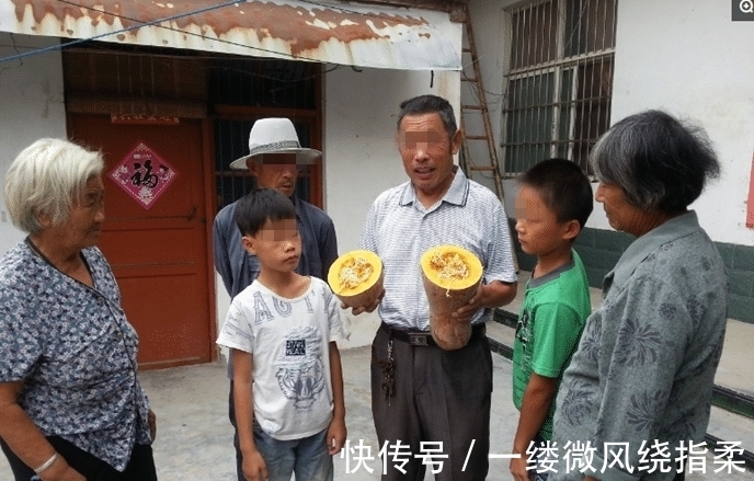 男子|男子买了个南瓜,切开发现豆芽和南瓜已“成亲”,“生活”在一起