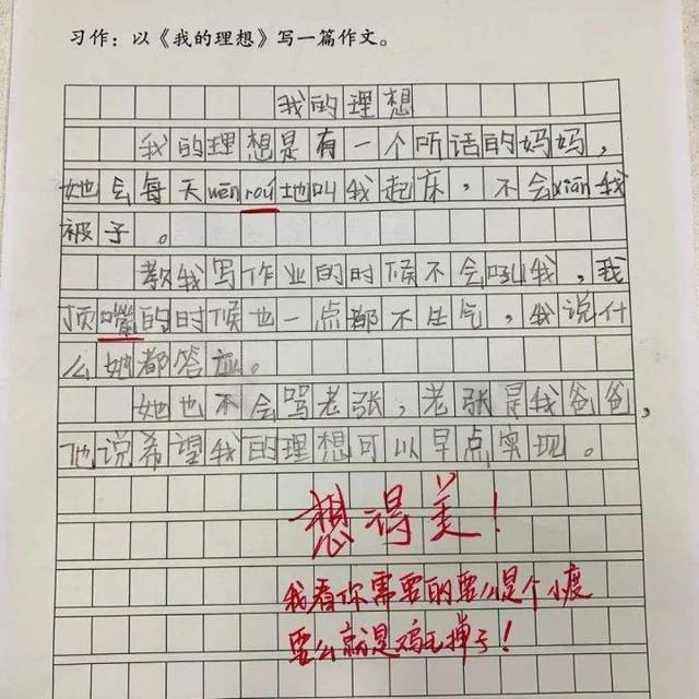 作文|小学生作文《我的理想》走红，老师鼓励：有个完美的理想不容易