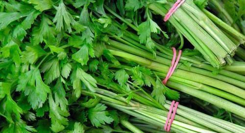 食物|若不想与痛风“为敌”,6种食物平时敞开吃,高尿酸悄悄降下去