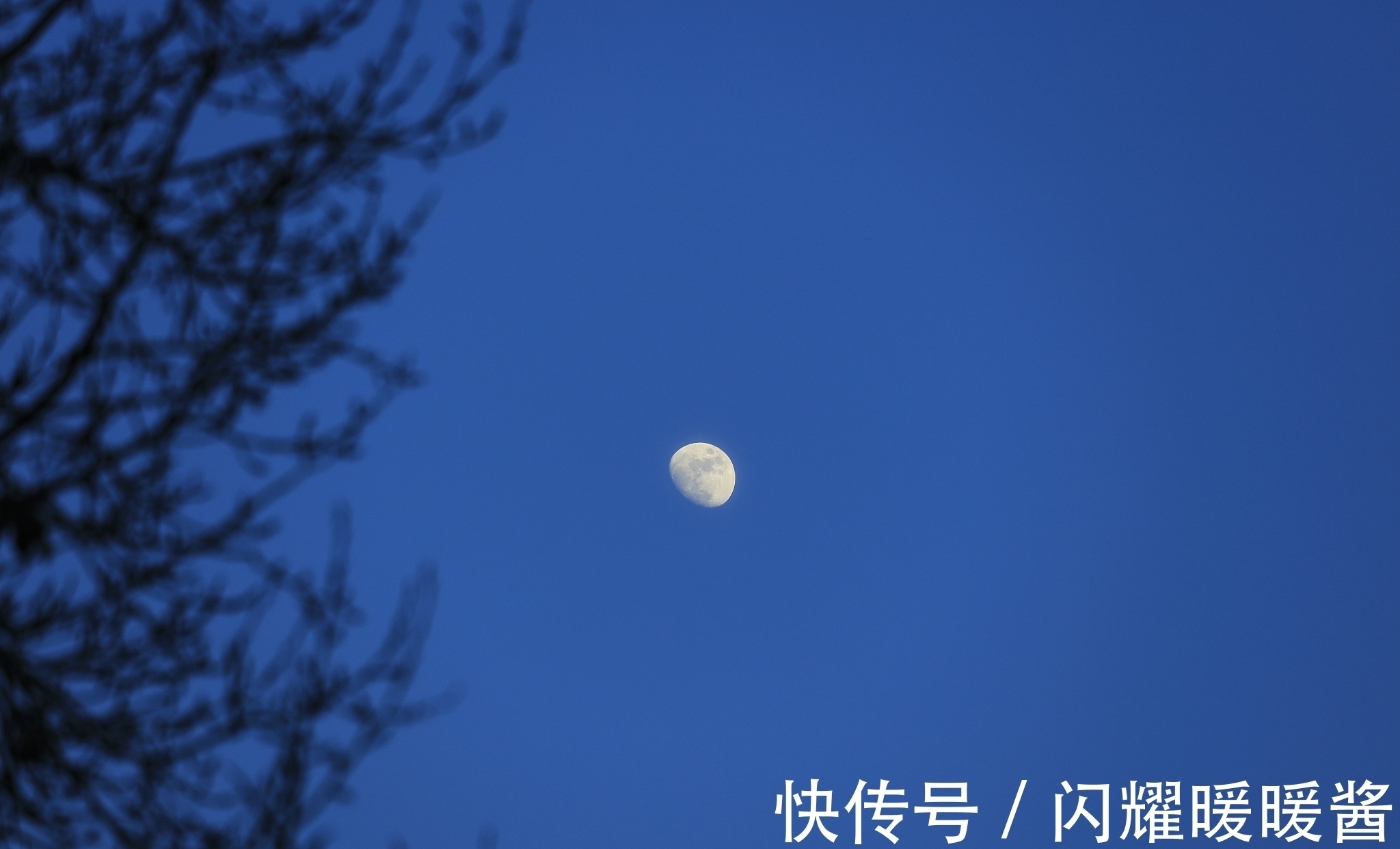 唐朝!寻找秋天最美的诗词,以“秋”为题的诗词排行榜前10名