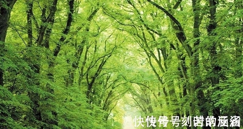 专一|表面看起来无情,其实很重感情,特别专一的星座