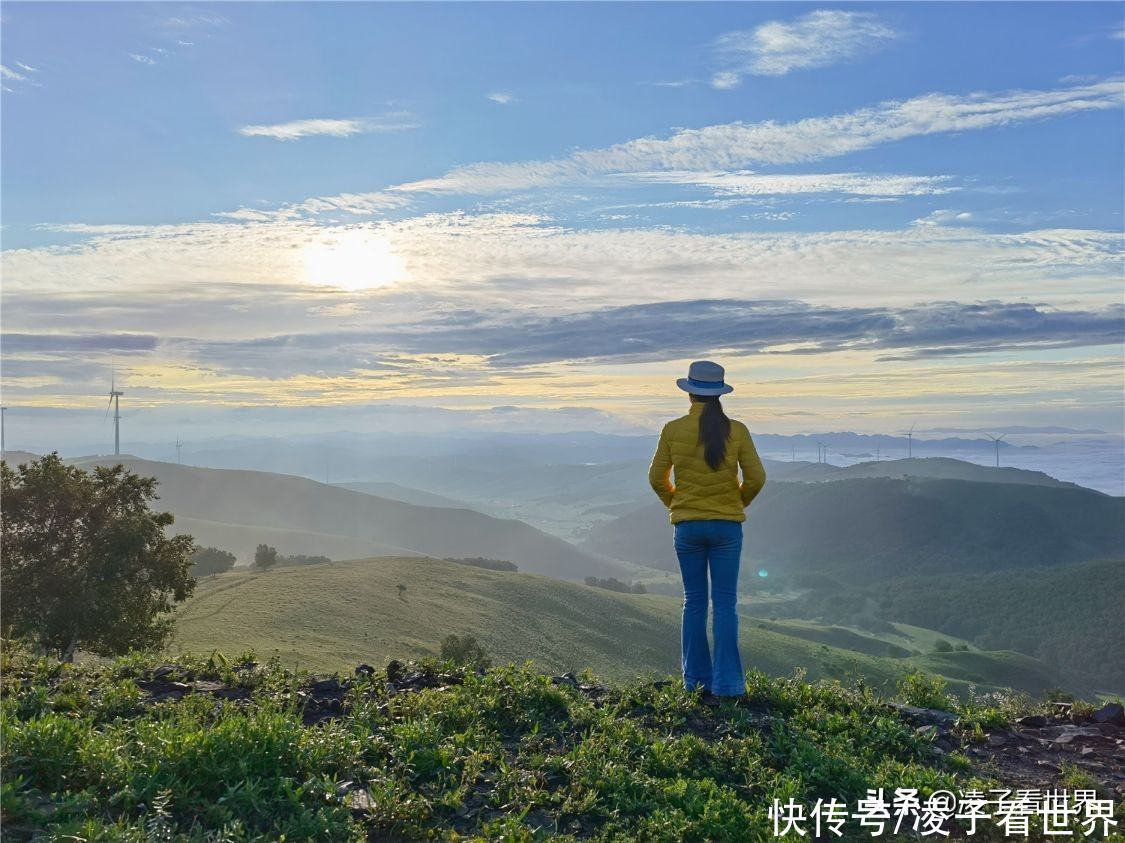 千松坝森林公园|治愈系美景，自驾者的天堂，千松坝森林公园暑假旅行的最佳地