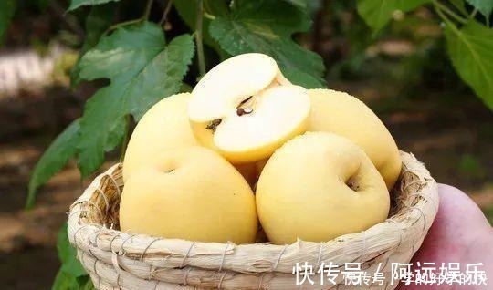 美味|6种美食,建议人到中老年要常吃,营养全面又美味,越吃越健康!