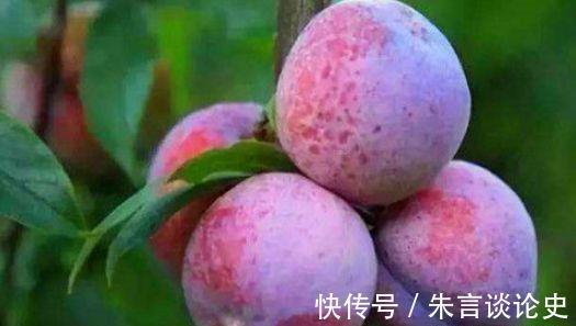 肌肤|女性不愿老太快,要坚持吃养生食物,延缓衰老,细腻肌肤,气色好