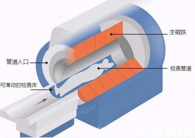 磁场|为什么核磁共振检查这么贵？价值千万的核磁共振仪，我国不能造吗