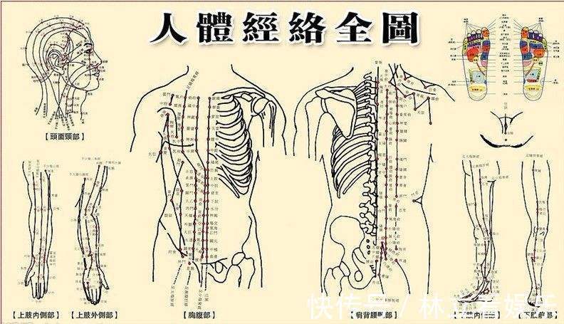海带|经络不通,试试这个方法,有寒去寒,有瘀化瘀,以通为补!